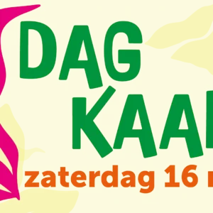 dagkaart